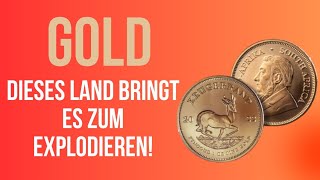 Gold 5000 Dollar bis Ende 2024 [upl. by Adlare995]