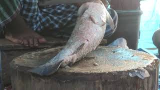 GIANT CATLA FISH CUTTING BY EXPERT FISH CUTTER  BANGLADESH FISH [upl. by Lleznov]