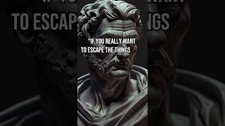 Senecas Most Powerful Quotes – Stoicism [upl. by Assiren]