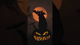 The Truth About Cats and Halloween Superstitions 🐾🎃 Cats Halloween Myths Cat Love Facts [upl. by Hardej]