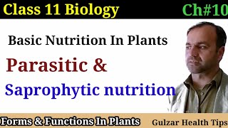 Basic nutrition in plants  parasitic nutrition  saprophytic nutrition  class 11th Biology [upl. by Tobe150]