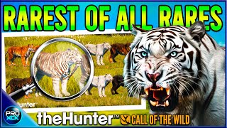 ALL Info about Bengal Tigers  Rare Fur Types and Insane Details  theHunter Call of the Wild [upl. by Intisar]