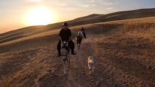 Horseback riding with cousins [upl. by Nwahsear]