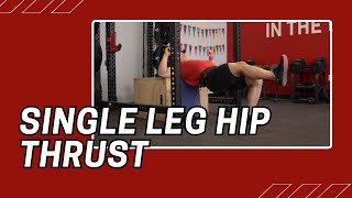 Single Leg Hip Thrust  Cable Machine Exercise [upl. by Wallie980]