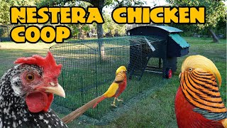 Check out my NEW Nestera chicken coop [upl. by Nylasoj688]