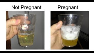 pregnancy test In the Shampoo [upl. by Beaner]