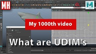 What are UDIMs and how do they improve your texturing workflow   My 1000th video [upl. by Pompea]