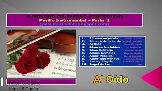 Pasillo Instrumental Parte 1 [upl. by Llebanna57]