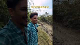 Kolkata to Sundarban Tour  One day tour  Jungle tour travel shorts sundarban [upl. by Anirtik988]