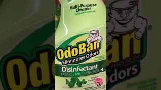 New Dollar Tree Find Odoban disinfectant spray [upl. by Anirahc]