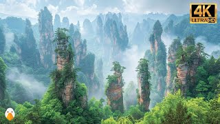 Wulingyuan Zhangjiajie Hunan🇨🇳 The Most Incredible Wonders in China 4K HDR [upl. by Pier]