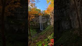 Relaxing Autumn Waterfall ASMR 🎬 Kyle Wicks Shorts Fall [upl. by Celinda]