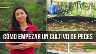 Como empezar un Cultivo de Peces  Piscicultura  TvAgro por Juan Gonzalo Angel [upl. by Vowel]