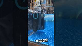 Smarte Poolroboter Der Aiper Scuba S1 Pro reinigt Boden und Wände für euch 💧tech poolparty [upl. by Apoor771]