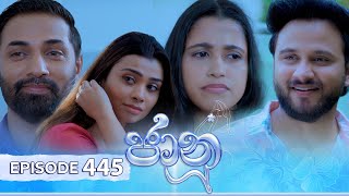 Jaanu  Episode 445  20241107  ITN [upl. by Aryamoy784]