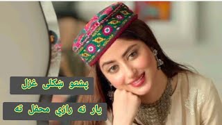 yar ne razy mehfil ta  pashto gazal pashto pashtosong pashtoghazal [upl. by Robbin]