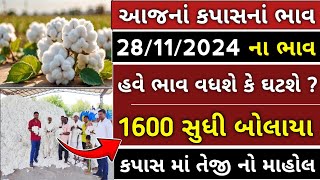 હવે કપાસનાં ભાવમાં વધારો થશે । 28112024 । kapas na bhav  Information about cotton crop price [upl. by Airtened]