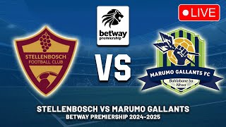 🔴 STELLENBOSCH FC VS MARUMO GALLANTS BETWAY PREMIERSHIP 202425 PREVIEW LIVE MATCH TODAY [upl. by Alyhc139]