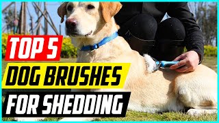 Best Dog Brushes for Shedding in 2022 Top 5 Picks [upl. by Lowney402]