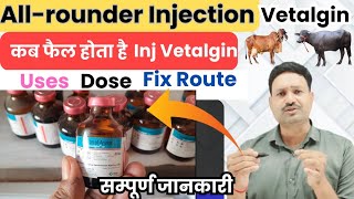 Inj Analgin की कमाल की बातें Analgin injection Veterinary uses in hindi [upl. by Oralle]