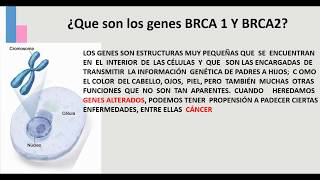 GENES BRCA 1 Y BRCA 2 [upl. by Einnej]