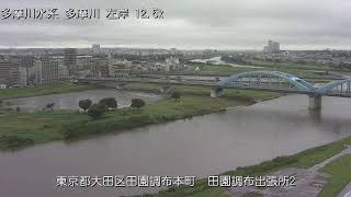 多摩川 田園調布出張所 ライブカメラ 20210814 定点観測 Tamagawa River Live Camera [upl. by Eilerua]