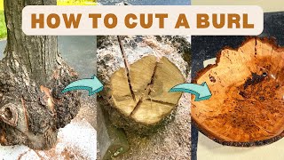 How to Properly Cut a Burl StepbyStep Instructions [upl. by Avla]