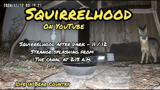 Squirrelhood After Dark  11  12 [upl. by Rasec]