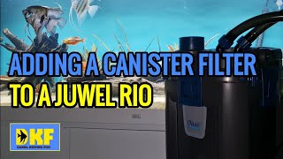 ADDING A CANISTER FILTER TO A JUWEL RIO AQUARIUM [upl. by Ordway]