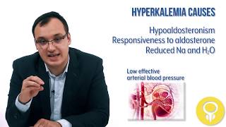 Hyperkalemia Causes [upl. by Phillips]