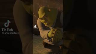 Shrek lightskin stare meme memes funny youlaughyoulose shrek lowquality [upl. by Ambrosia151]