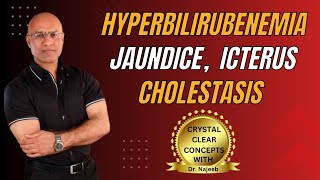 Jaundice vs Hyperbilirubinemia vs Icterus vs Cholestasis 🩺 [upl. by Milstone]