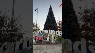 Winterfest is BACK at Carowinds treelighting themepark merrychristmas christmas2024 fun nc [upl. by Rawdan]