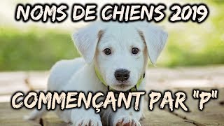 🐕Idées noms de chiens 2019 commençant par quotPquot🐕 [upl. by Routh]