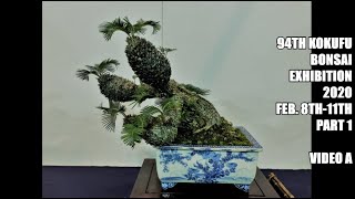 94th KOKUFU BONSAI EXHIBITION 2020 PART 1 Tokyo Feb 811 video A 第94回国風盆栽展（前期）ビデオ A [upl. by Lavro752]