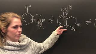 PictetSpengler CHEM 347 [upl. by Eelrac]