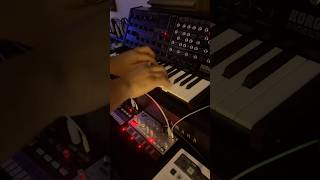 Korg MS20mini  volca bass live jam [upl. by Nnayllas]