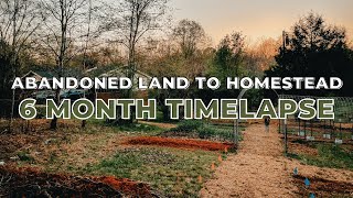 Homestead Timelapse  First 6 Months  How We Made it Happen as Newbies [upl. by Eornom]