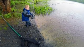 Carp fishing tips and techniques  New carp bait  How to catch carp in a lake or pond [upl. by Phaidra]