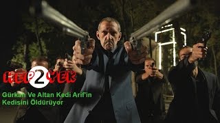 Hep Yek 2  Gürkan Ve Altan Kedi Arifin Kedisini Öldürüyor [upl. by Ahsaei58]