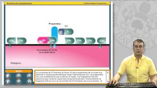 113 EL SISTEMA DE COMPLEMENTO Y SUS RECEPTORES [upl. by Kimberly]