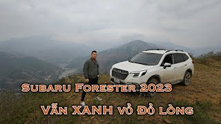 Subaru Forester 2023 vẫn là Xanh vỏ Đỏ lòng [upl. by Cacilie]