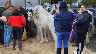 Enter at your own Risk Ballinasloe Horse Fair [upl. by Gnolb]