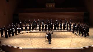 Birmingham University Singers perform Bob Chilcotts When spring comes walking [upl. by Anavas]