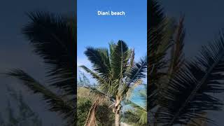 Diani Beach Mombasa Kenya Full video coming soon thefoodietechtraveller youtuber youtubeshorts [upl. by Macey]