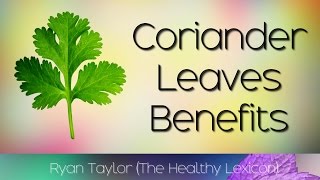 Coriander Leaves Benefits and Uses DhaniaCilantro [upl. by Eeruhs]