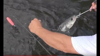 How to Use a Barbless Circle Hook and Dehooker Tool for Catch and Release [upl. by Firmin]