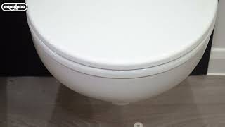 Thermoplastic and Duroplast Toilet Seat Installation [upl. by Lazare453]