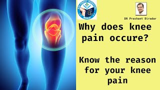 KNEE JOINT PAIN KNEE PAIN CAUSES  REASON OF KNEE PAIN  JOINT PAIN  KNEE JOINT [upl. by Mooney]