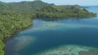 Wild New Britain Papua New Guinea [upl. by Immak284]